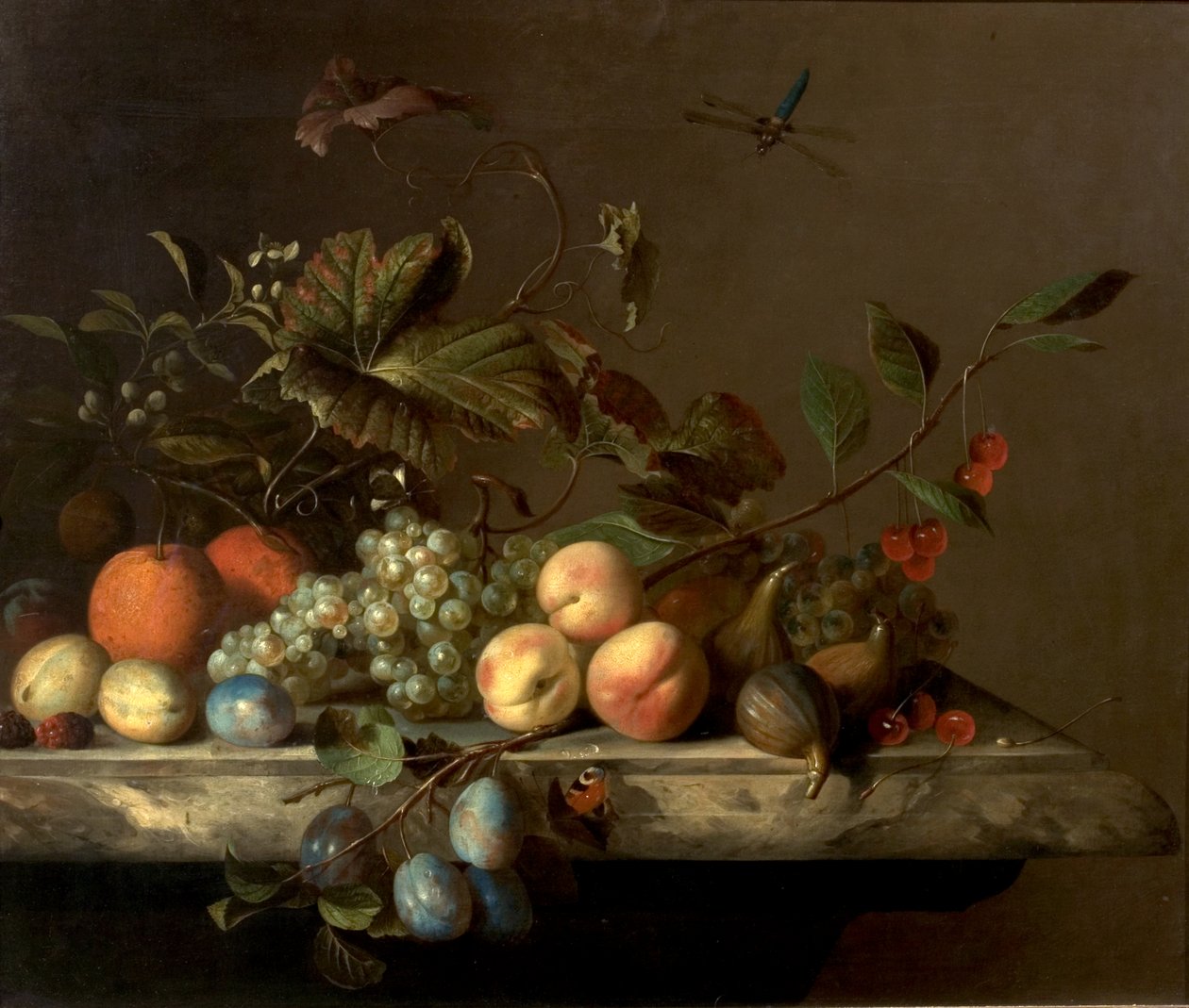 Fruktstycke med trollslända, 1692 av Barend or Bernardus van der Meer