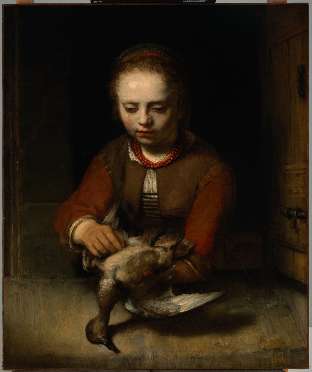Ung flicka plockar en anka, ca 1650 (olja på duk) av Barent Fabritius