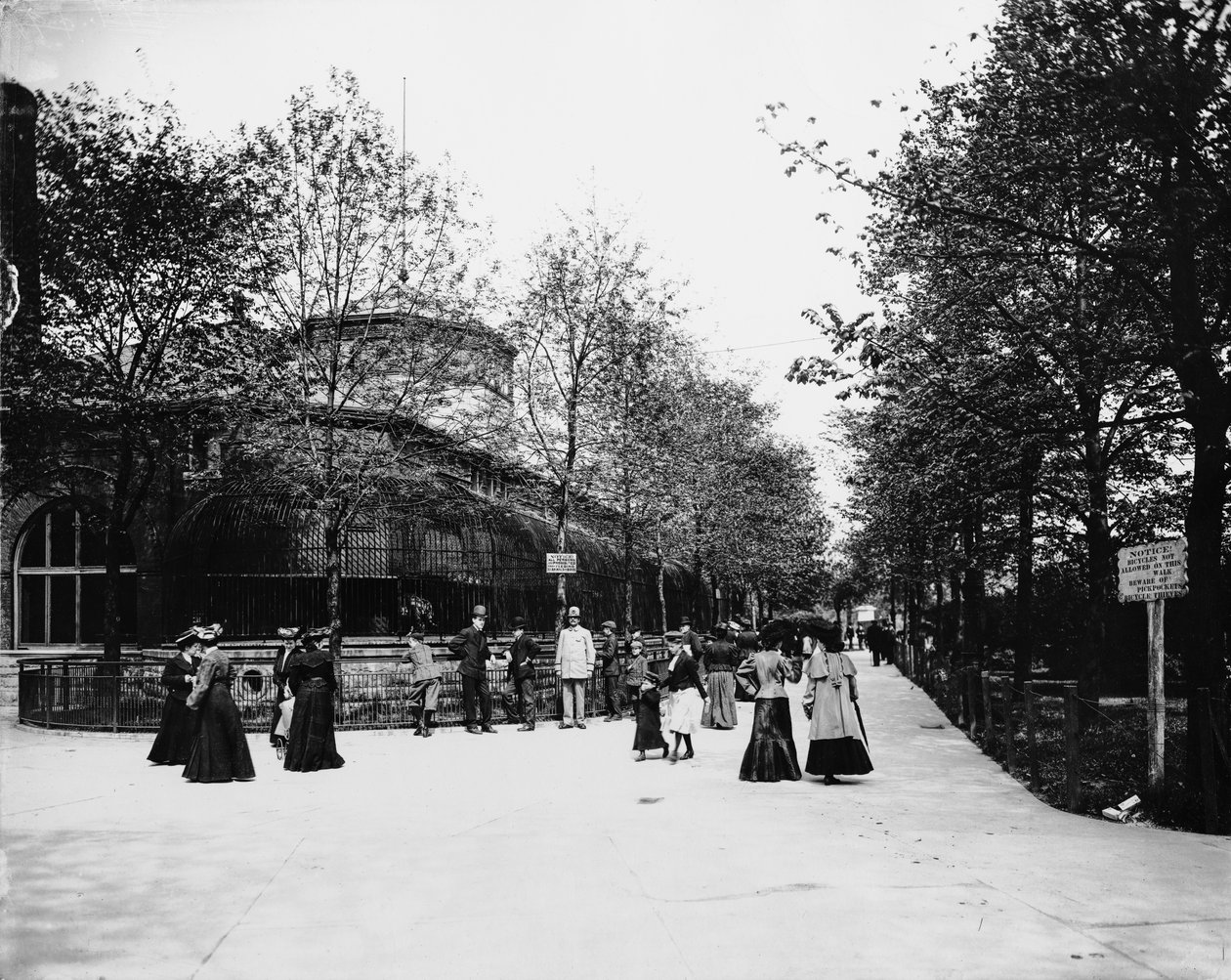Lincoln Park Zoo., Chicago, Illinois, USA, ca 1900 (s/v foto) av Barnes and Crosby