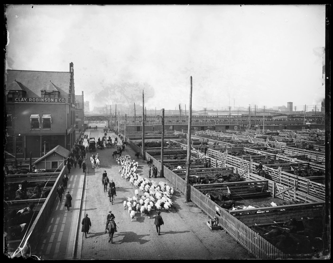 Union Stock Yards., Chicago, Illinois, USA, ca 1910 (s/v-foto) av Barnes and Crosby
