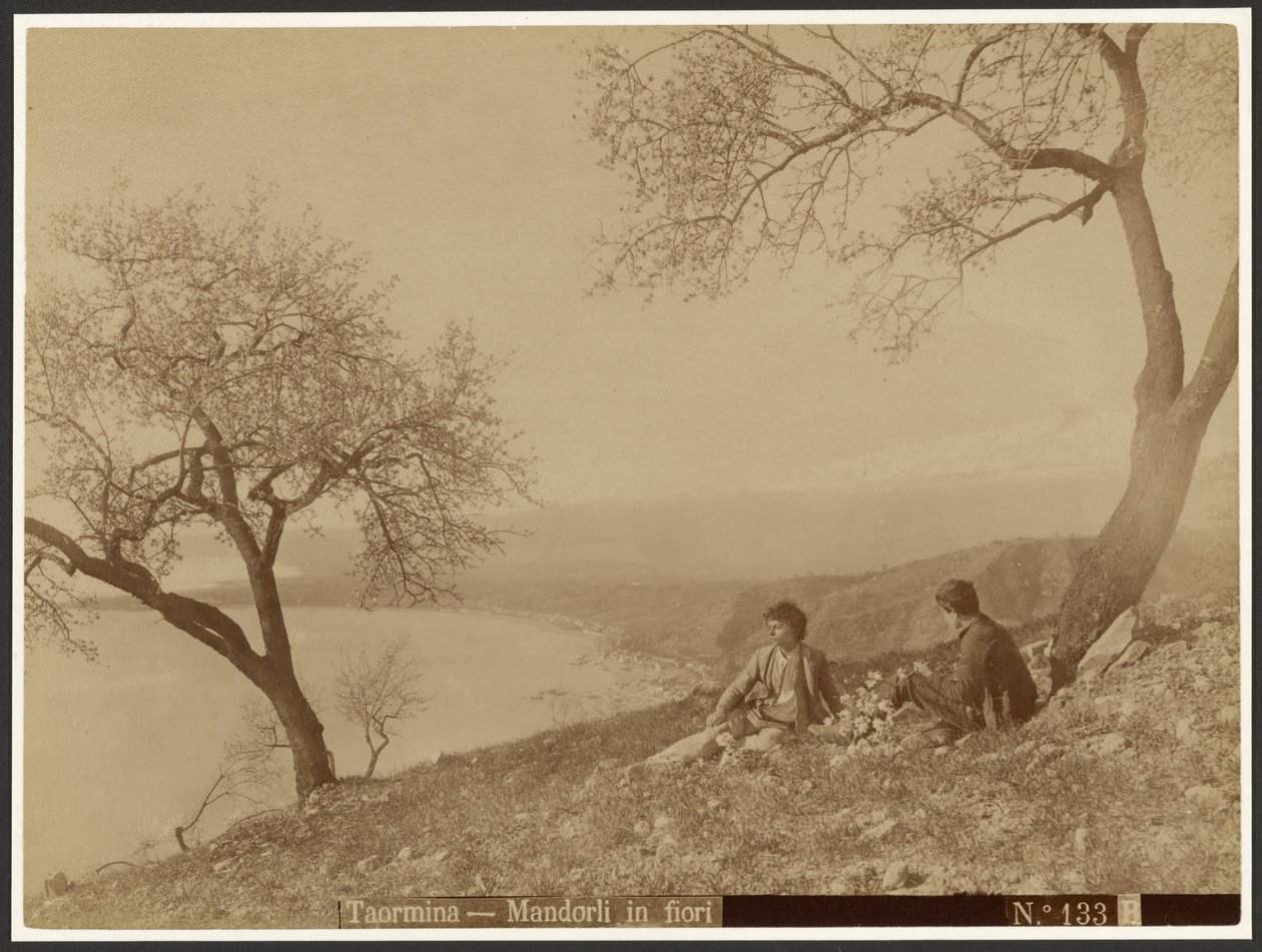 Blommande mandlar, Taormina av Baron Wilhelm von Gloeden