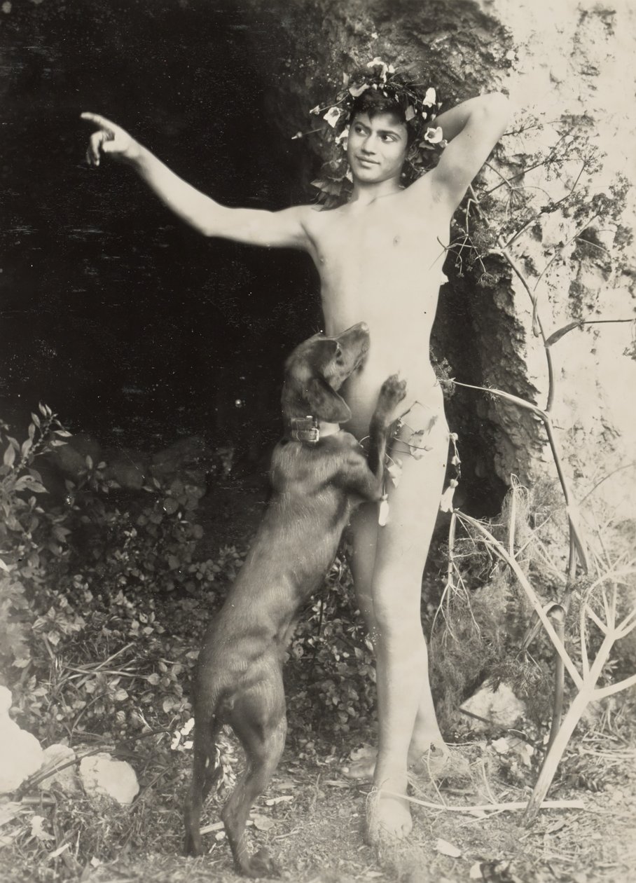 [Naken ungdom med hund] av Baron Wilhelm von Gloeden