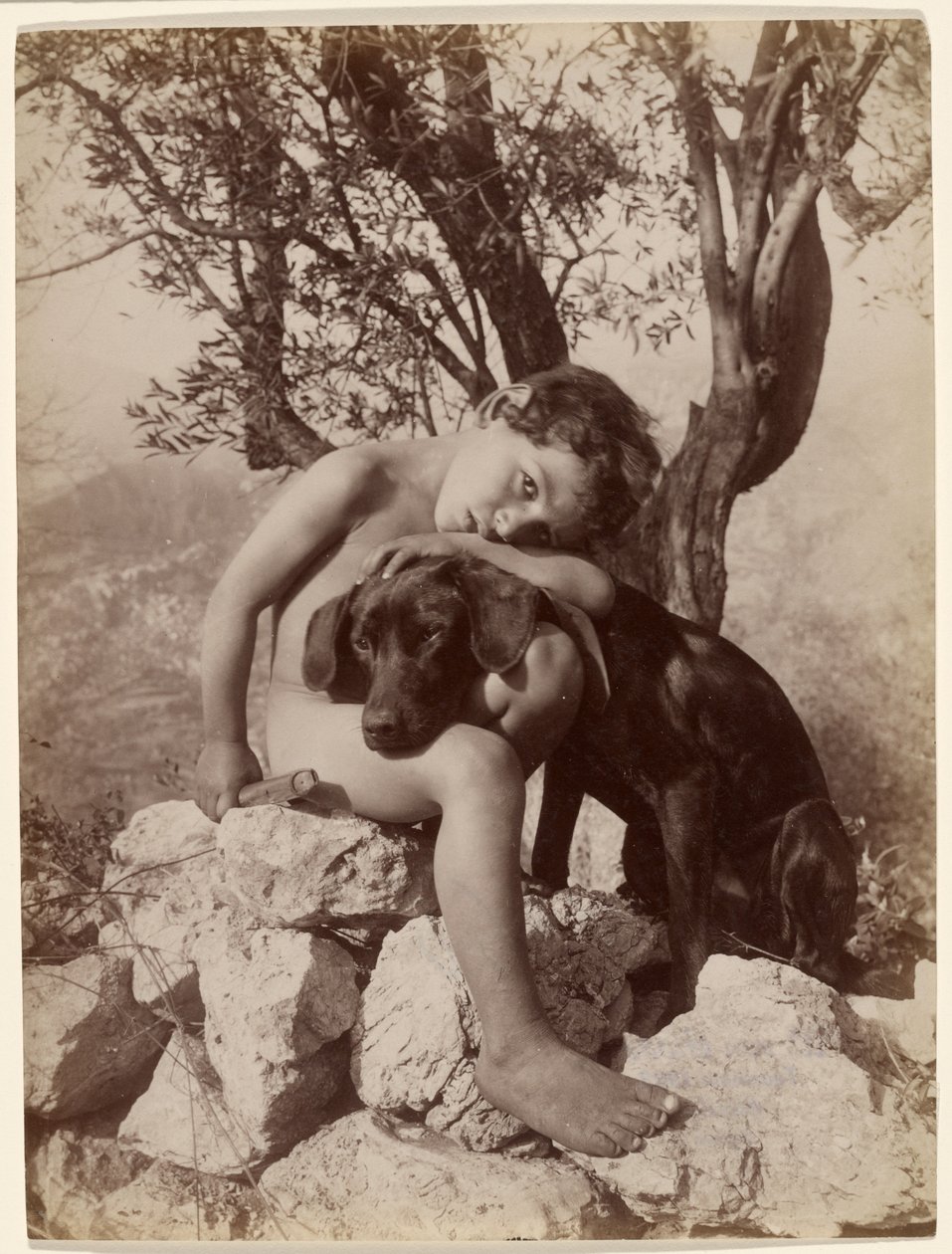 [Ung naken pojke och hund] av Baron Wilhelm von Gloeden