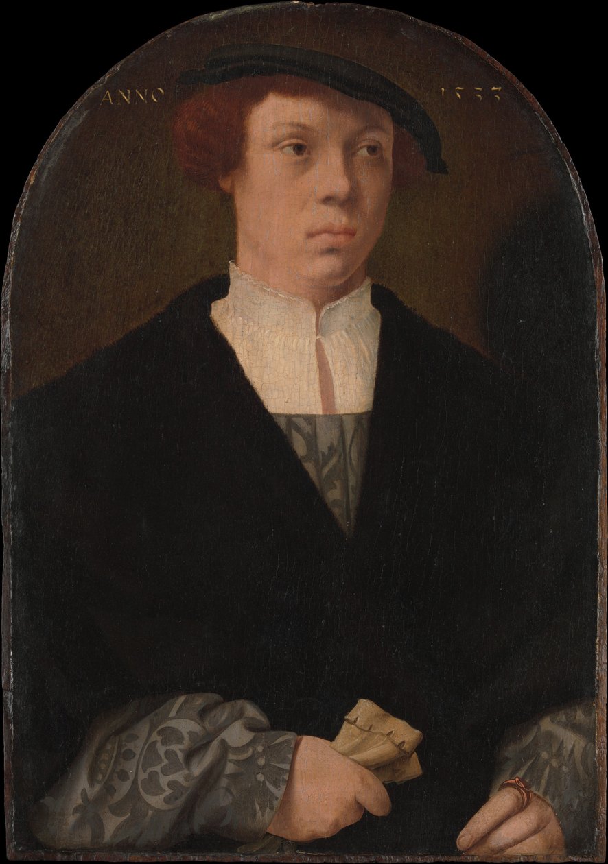 Porträtt av en man, 1533. av Bartholomaeus Bruyn the Elder