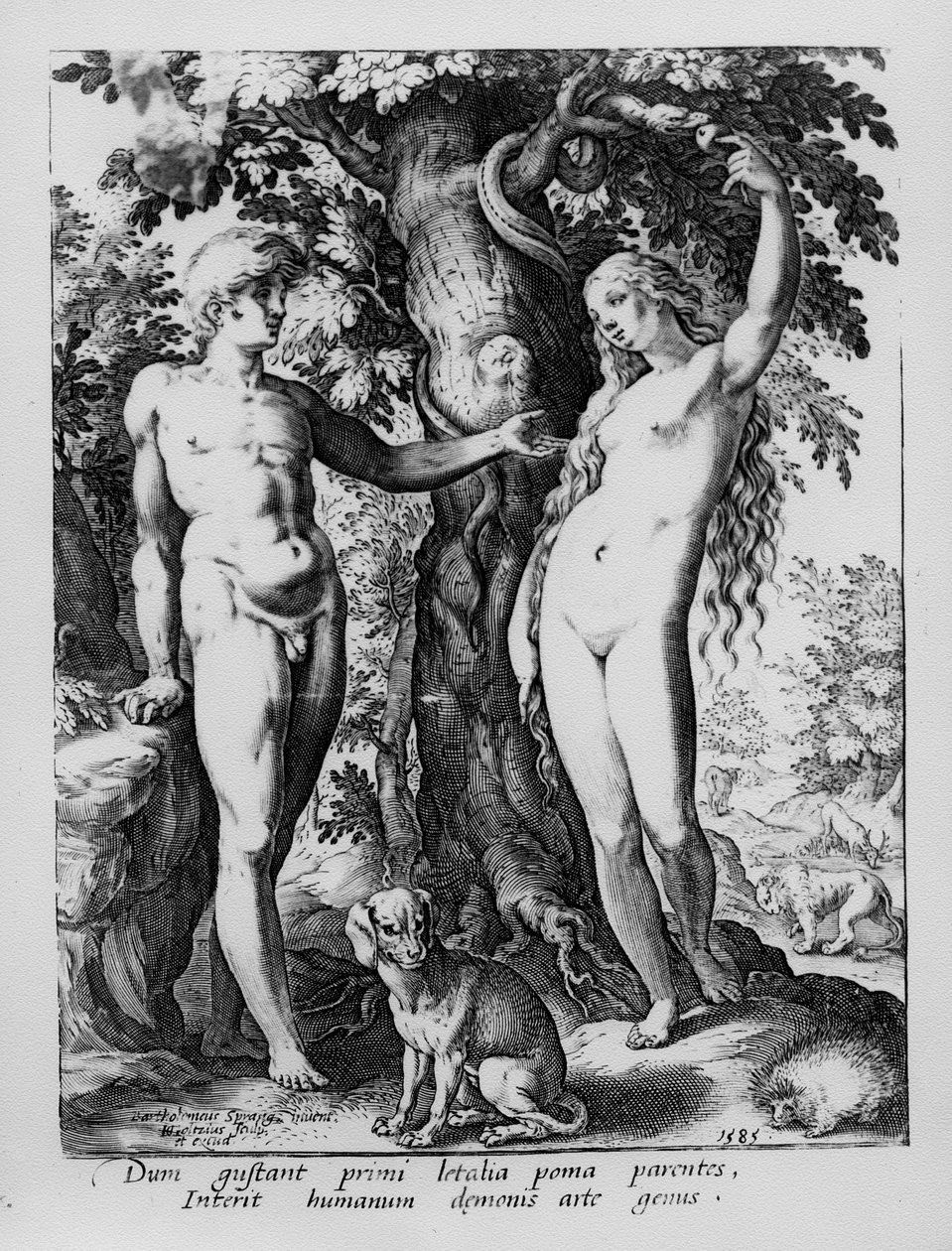 Adam och Eva, graverad av Hendrik Goltzius, 1585 av Bartholomaeus Spranger