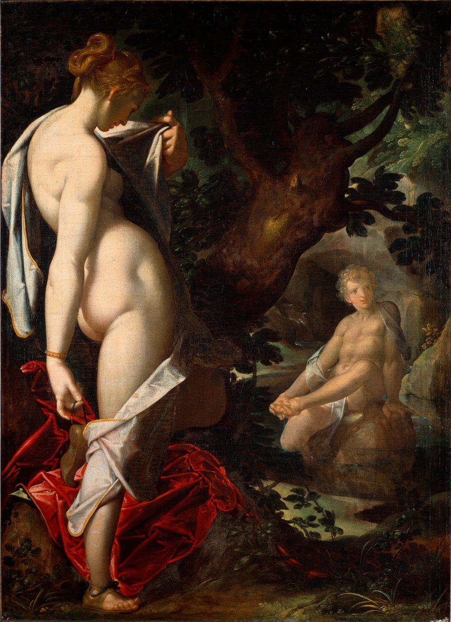 Najaden Salmacis beundrar Hermafrodit som badar i en källa (Målning av Bartholomaeus Spranger