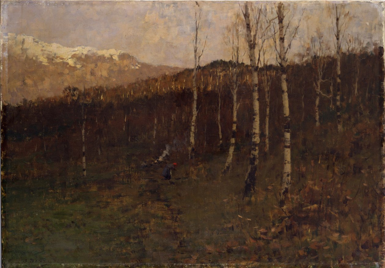  Bosco ceduo Bosco di betulle av Bartolomeo Bezzi