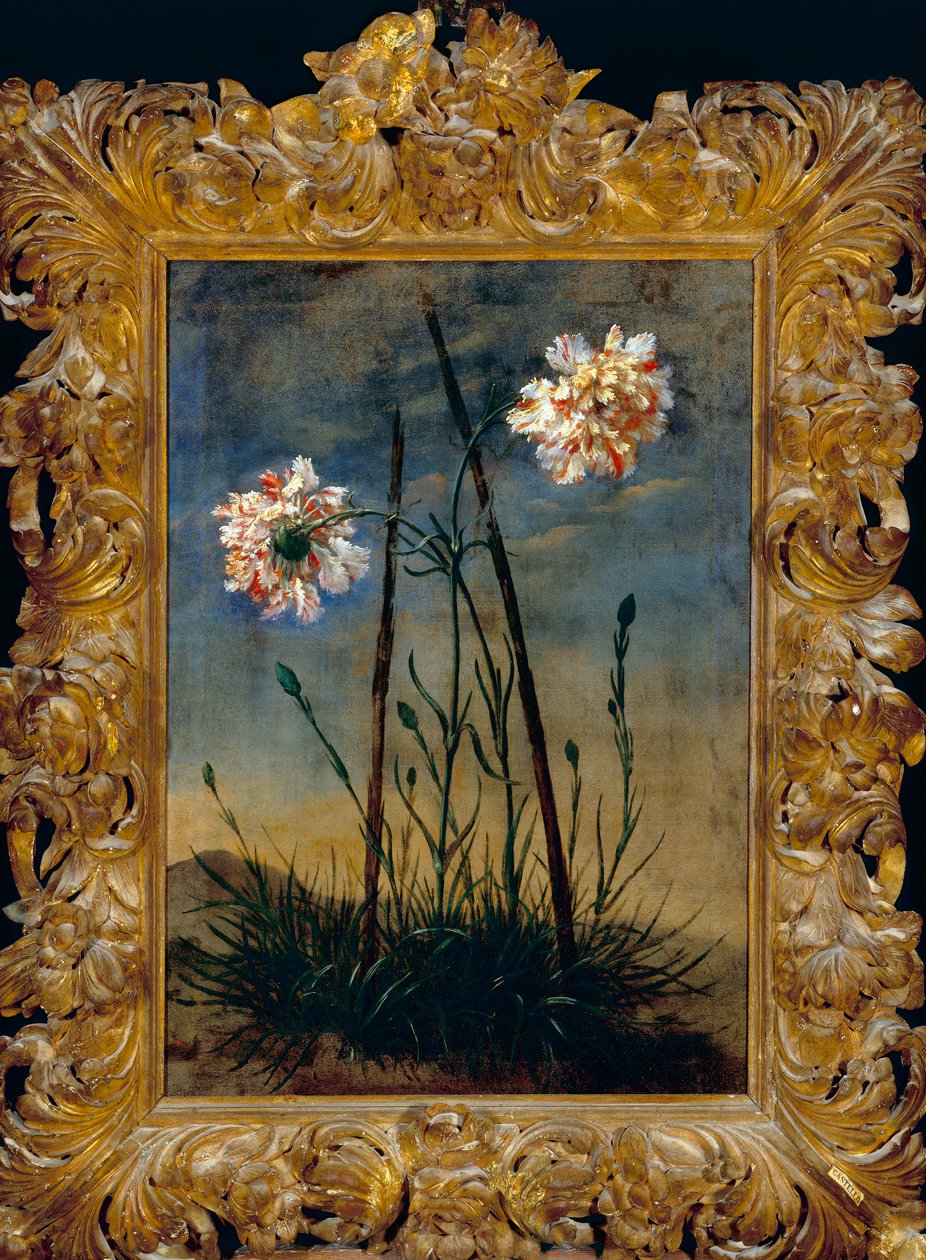 Nelliker, i en ramme af Vittorio Crostenswed av Bartolomeo Bimbi
