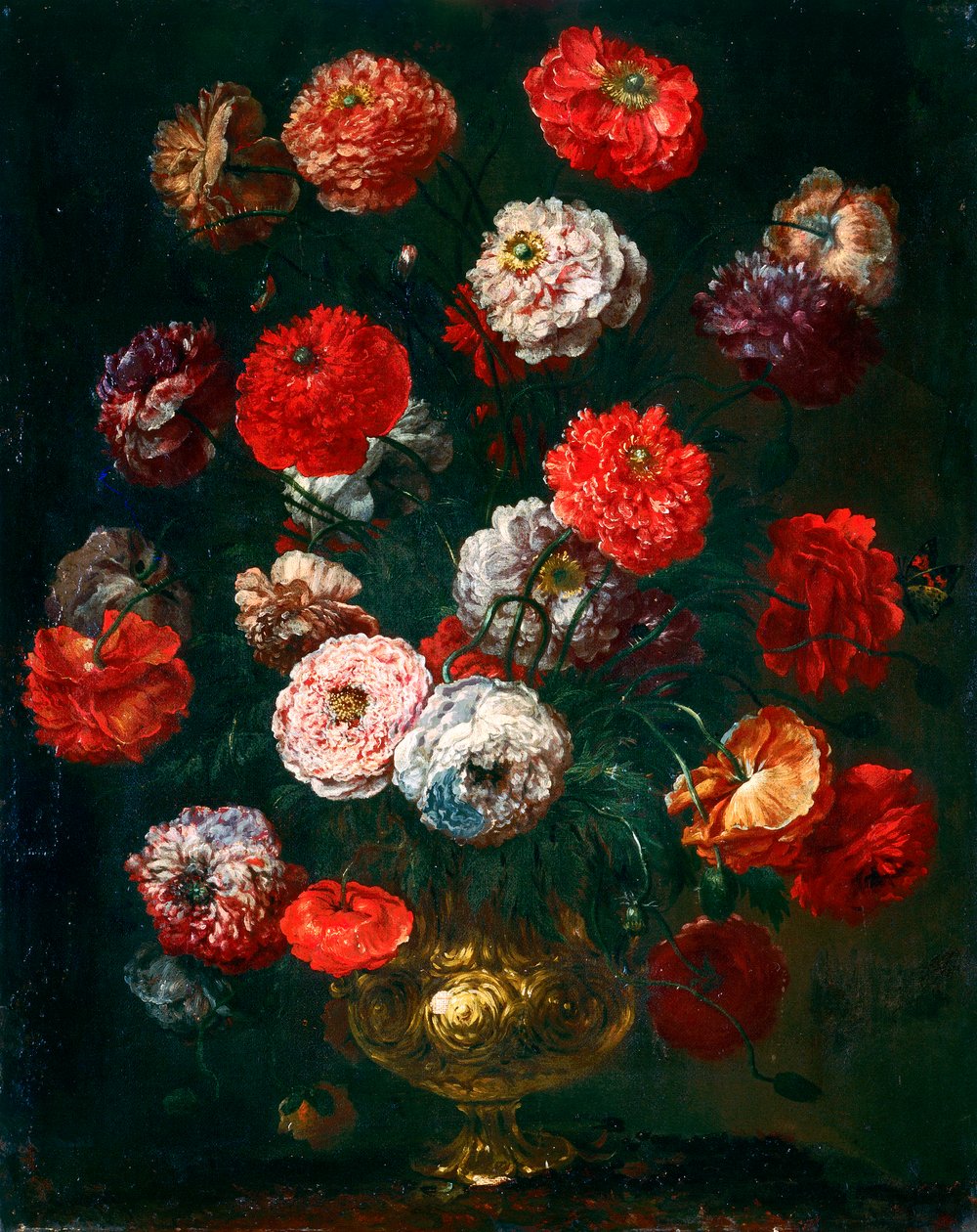 Majsvalmue av Bartolomeo Bimbi