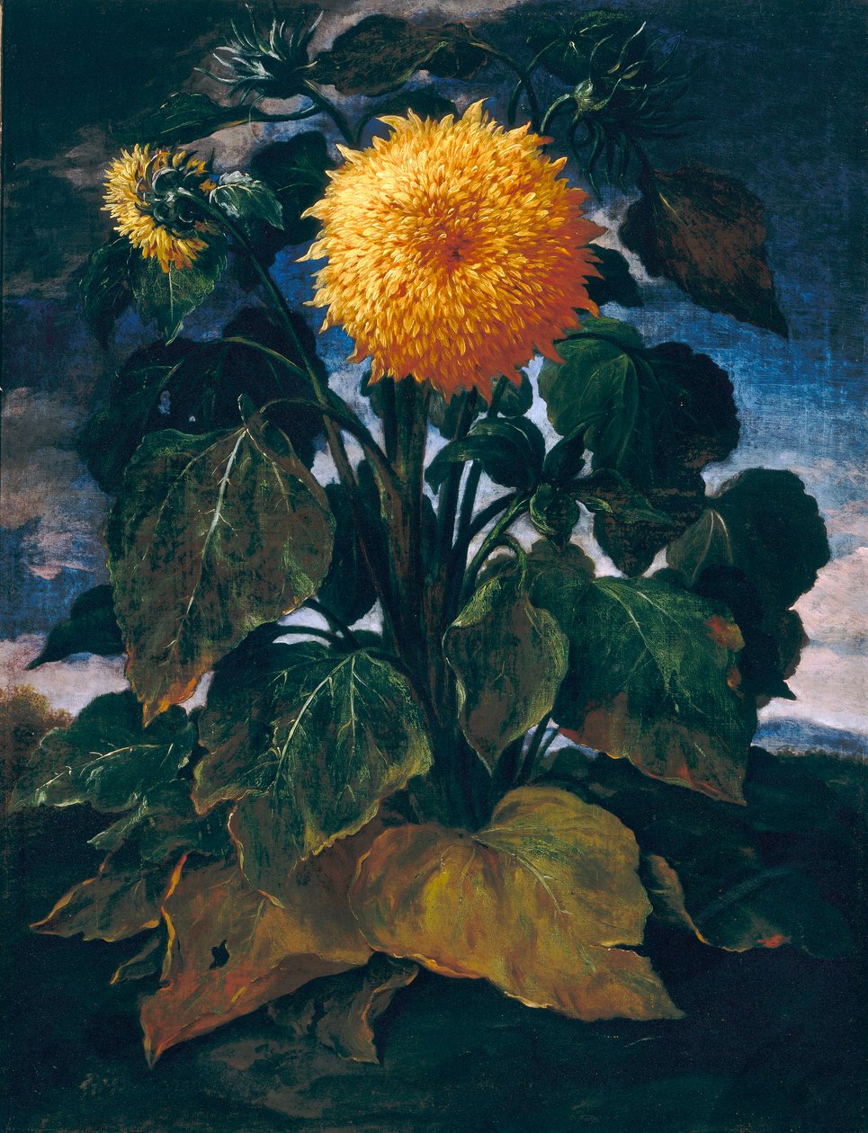 Dobbelt solsikkesved av Bartolomeo Bimbi
