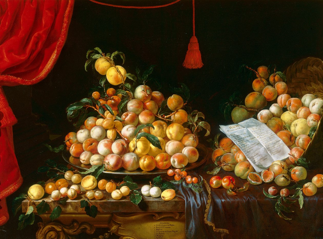 Persikor och aprikoser av Bartolomeo Bimbi