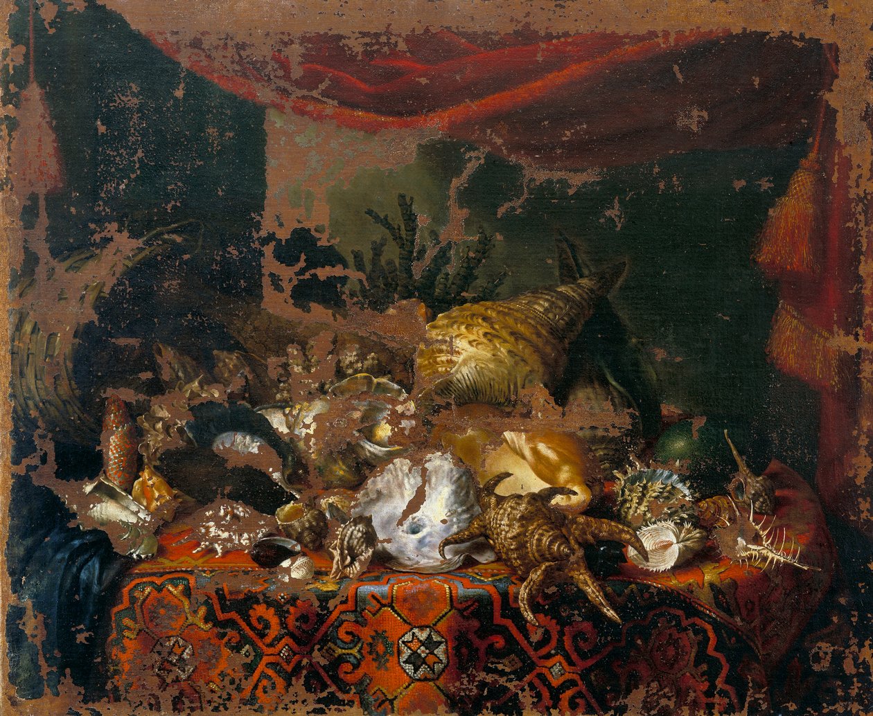 Shellsswed av Bartolomeo Bimbi