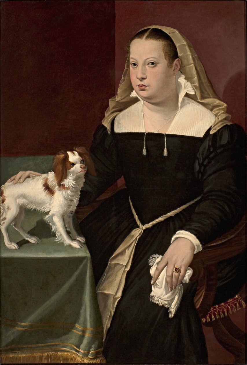 Porträtt av en dam med en liten hund av Bartolomeo Passarotti