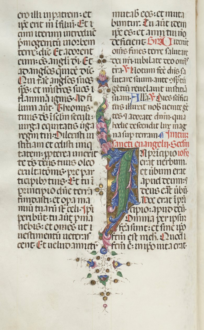 Missale: Fol. 22v: Lövverk med fisk, 1469. av Bartolomeo Caporali