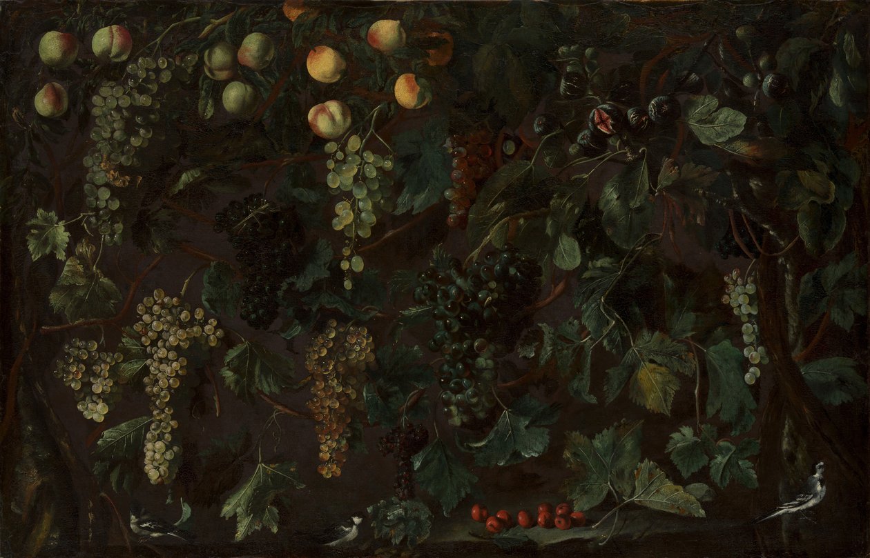 Vinrankor och frukt, med tre vipstjärtar, ca. 1615-18. av Bartolomeo Cavarozzi