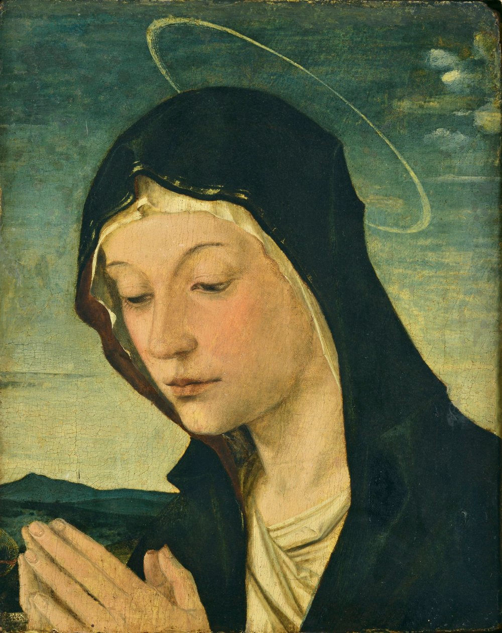 Huvud och händer av en beundrande madonna (fragment), ca 1477-78 (tempera på poppelträ) av Bartolomeo Montagna