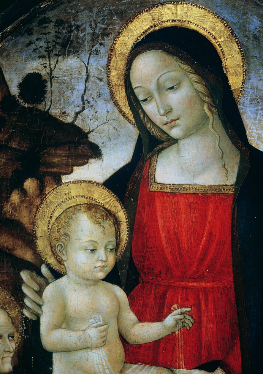 Madonna med barn (detalj) av Bartolomeo Montagna