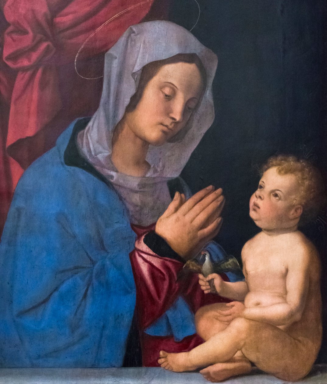 Madonna och barn, ca 1503 (olja på träpanel) av Bartolomeo Montagna