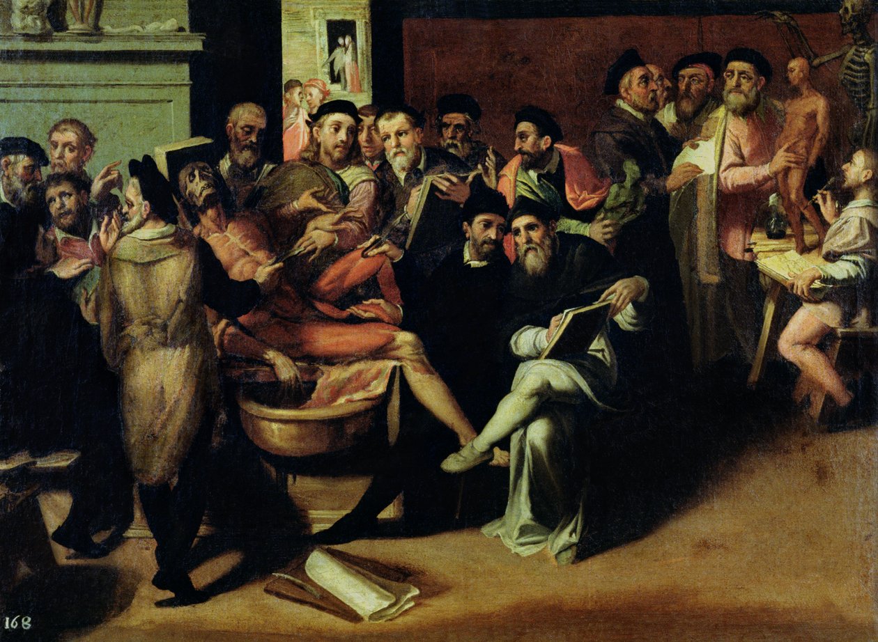 En anatomi-lektion för konstnärer av Bartolomeo Passarotti