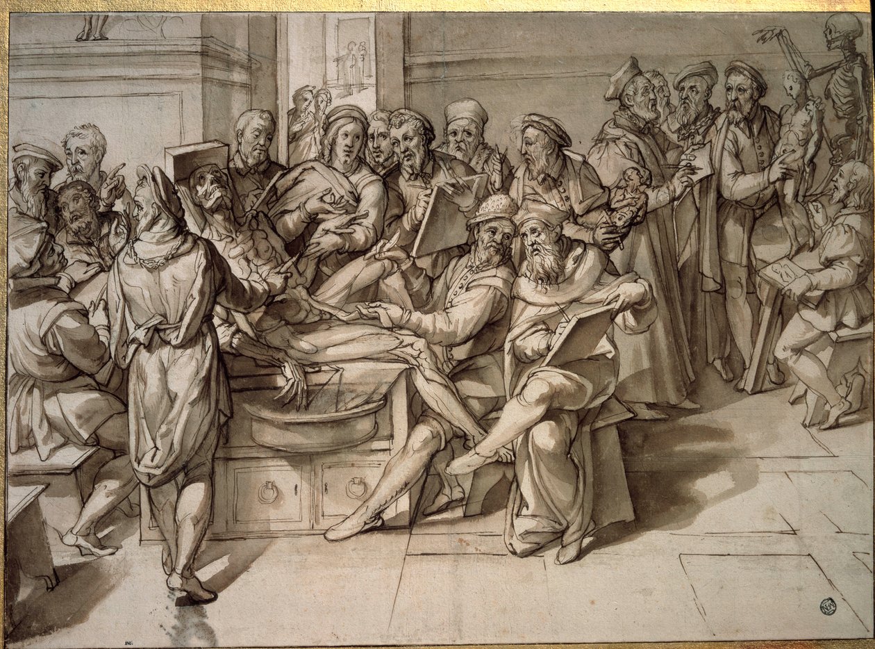 Anatomiföreläsning hållen av Michelangelo Buonarroti dit Michelangelo (Michelangelo eller Michel Ange av Bartolomeo Passarotti