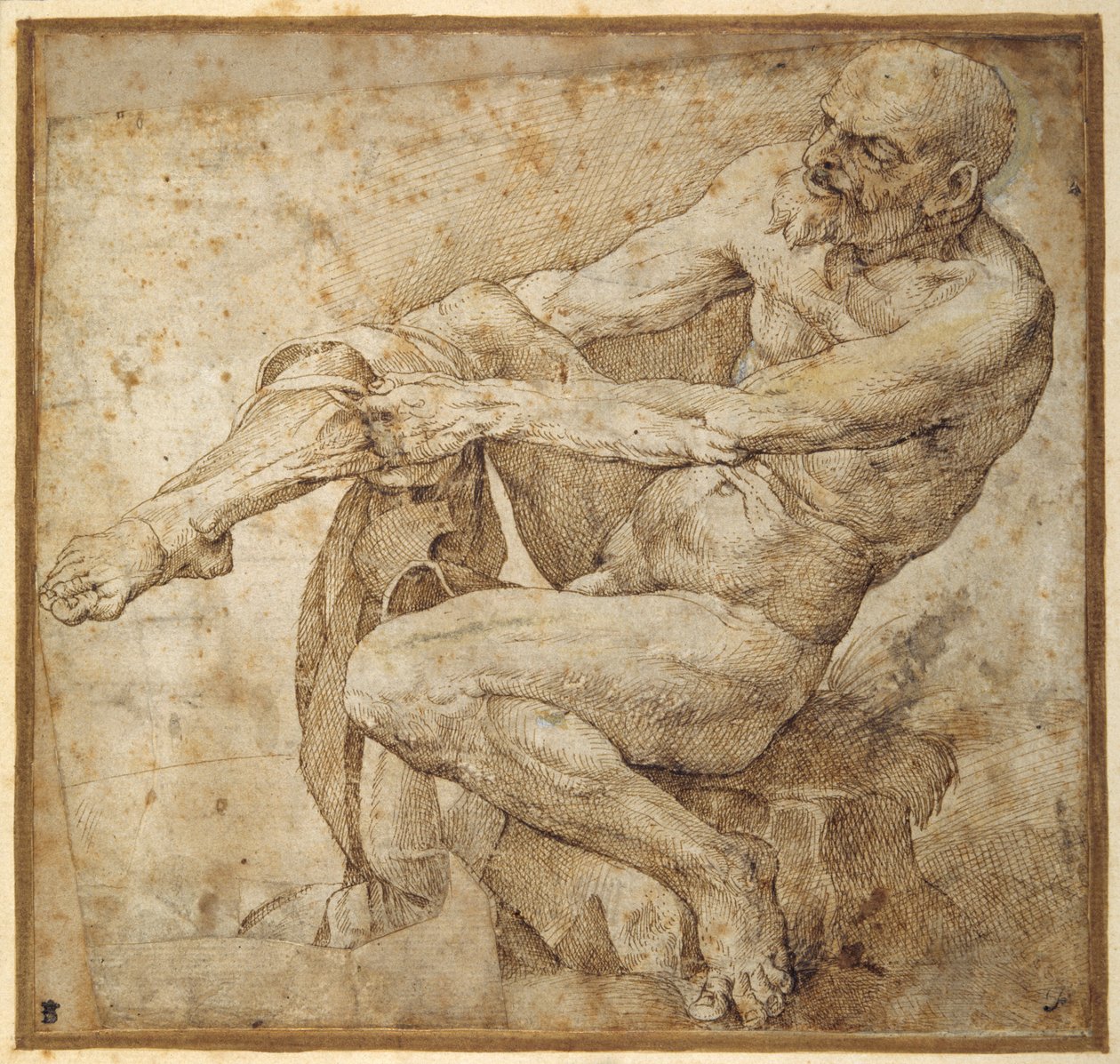 Naken man drar på sin slang, efter Marcantonio Raimondi och Michelangelo Buonarroti (penna & brunt bläck på papper) av Bartolomeo Passarotti