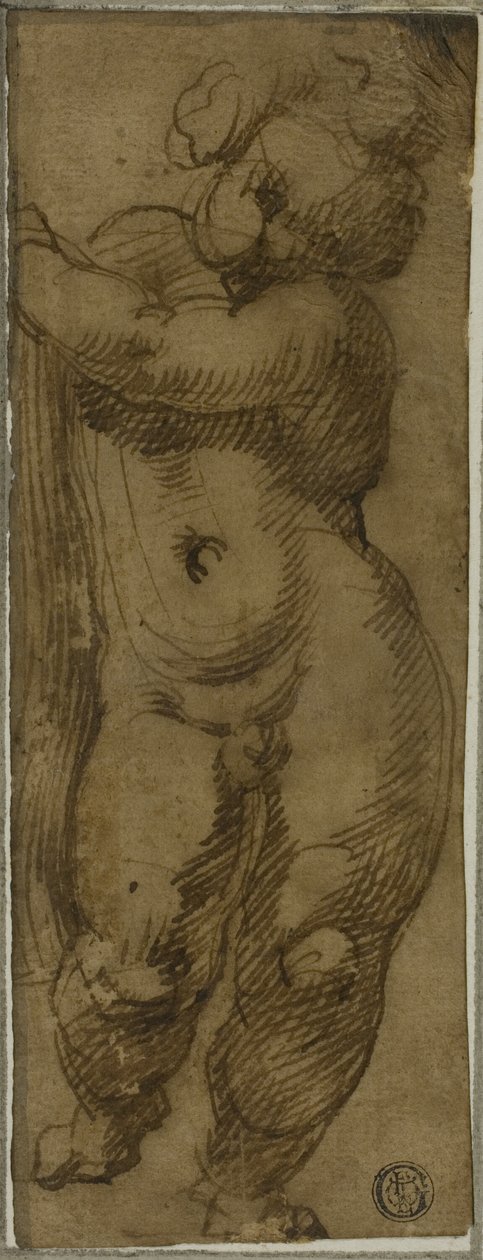 Stående Putto sett framifrån: Studera för jungfrun i ära med de heliga Petronius, Dominic och Peter Martyr av Bartolomeo Passarotti