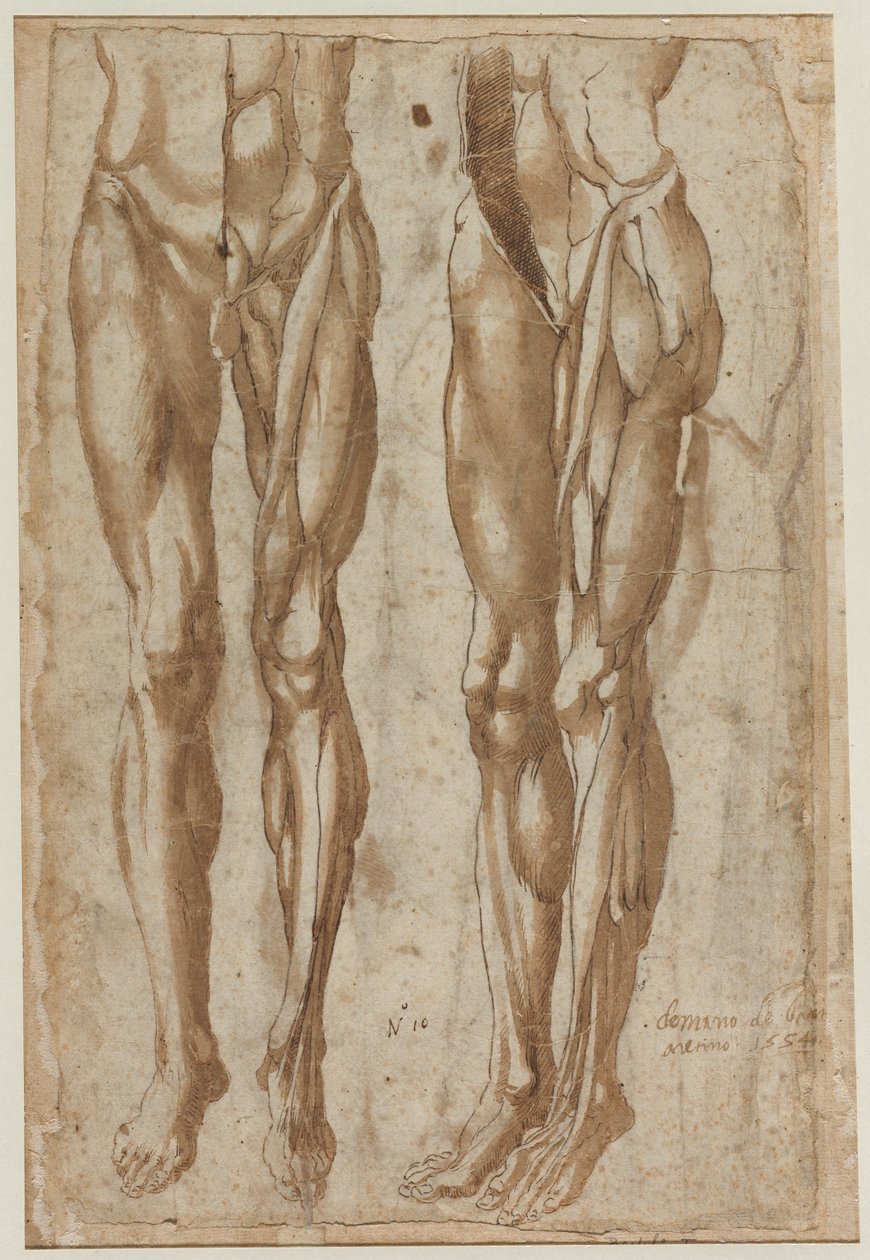 Två studier av en flådd man (recto) av Bartolommeo da Arezzo