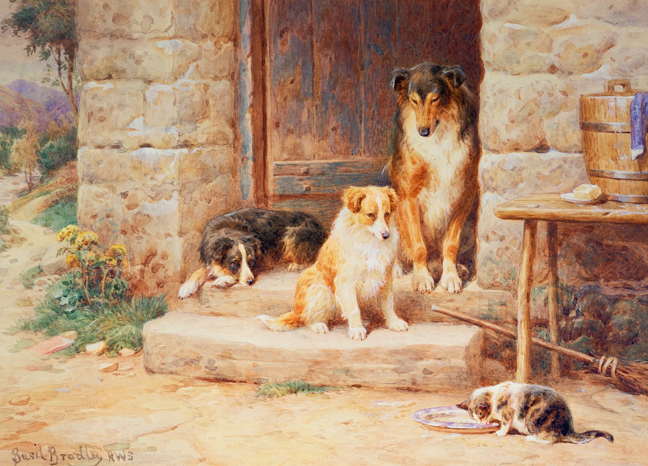Lev och låt leva av Basil Bradley