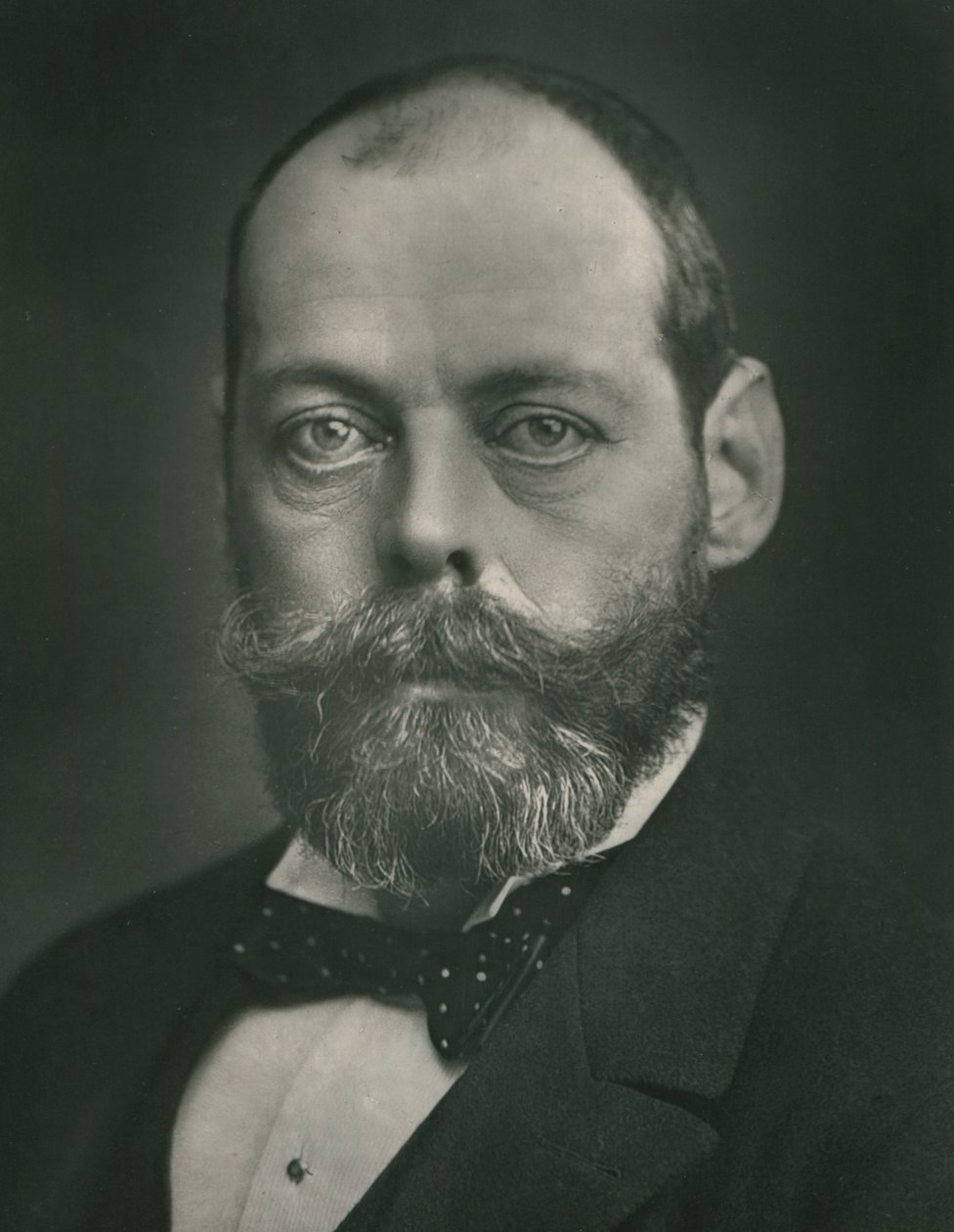 swedish av Bassano Ltd