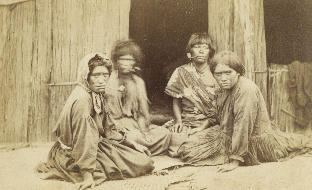 Group of Maori Women Outside a Whare, ca 1865 (albumintryck) av Batt and Richards
