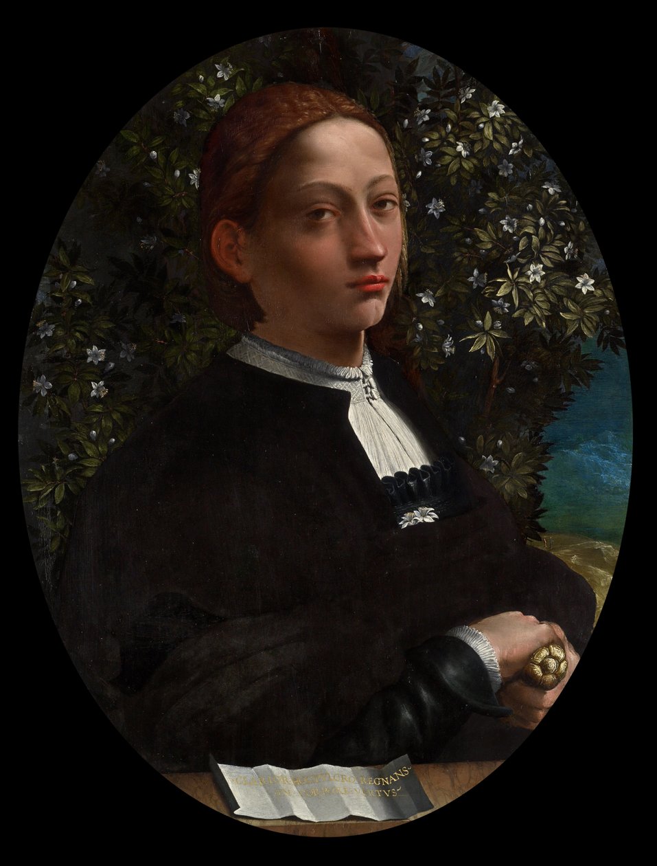 Lucrezia Borgia, Duchess of Ferrara av Battista Dosso