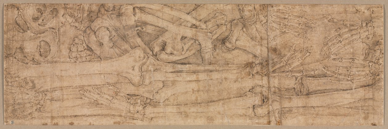 Armben, tidigt 1540-tal. av Battista Franco