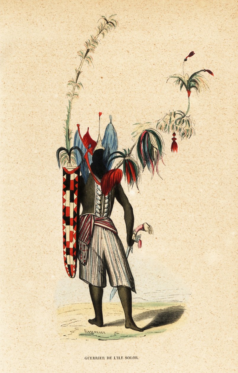 Warrior of Solor Island, Lesser Sunda Islands, Indonesien av Belgian School