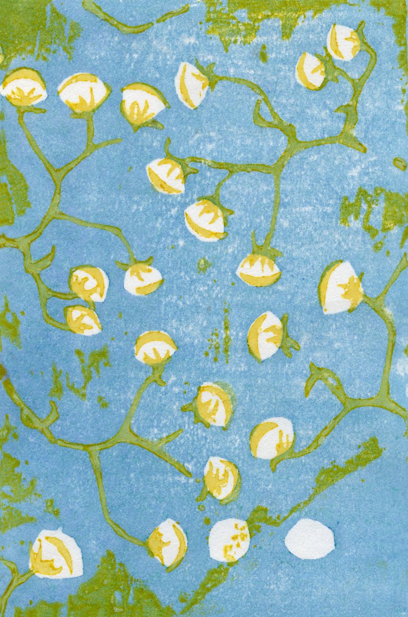 Fluffy Seedheads, 2012 (träsnitt på washis) av Bella Larsson