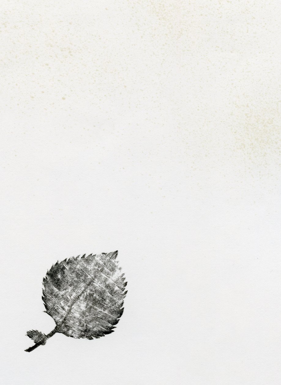 Leaf {Fay-erie Dust}, 2014 (trägravyr och bläck på papper) av Bella Larsson