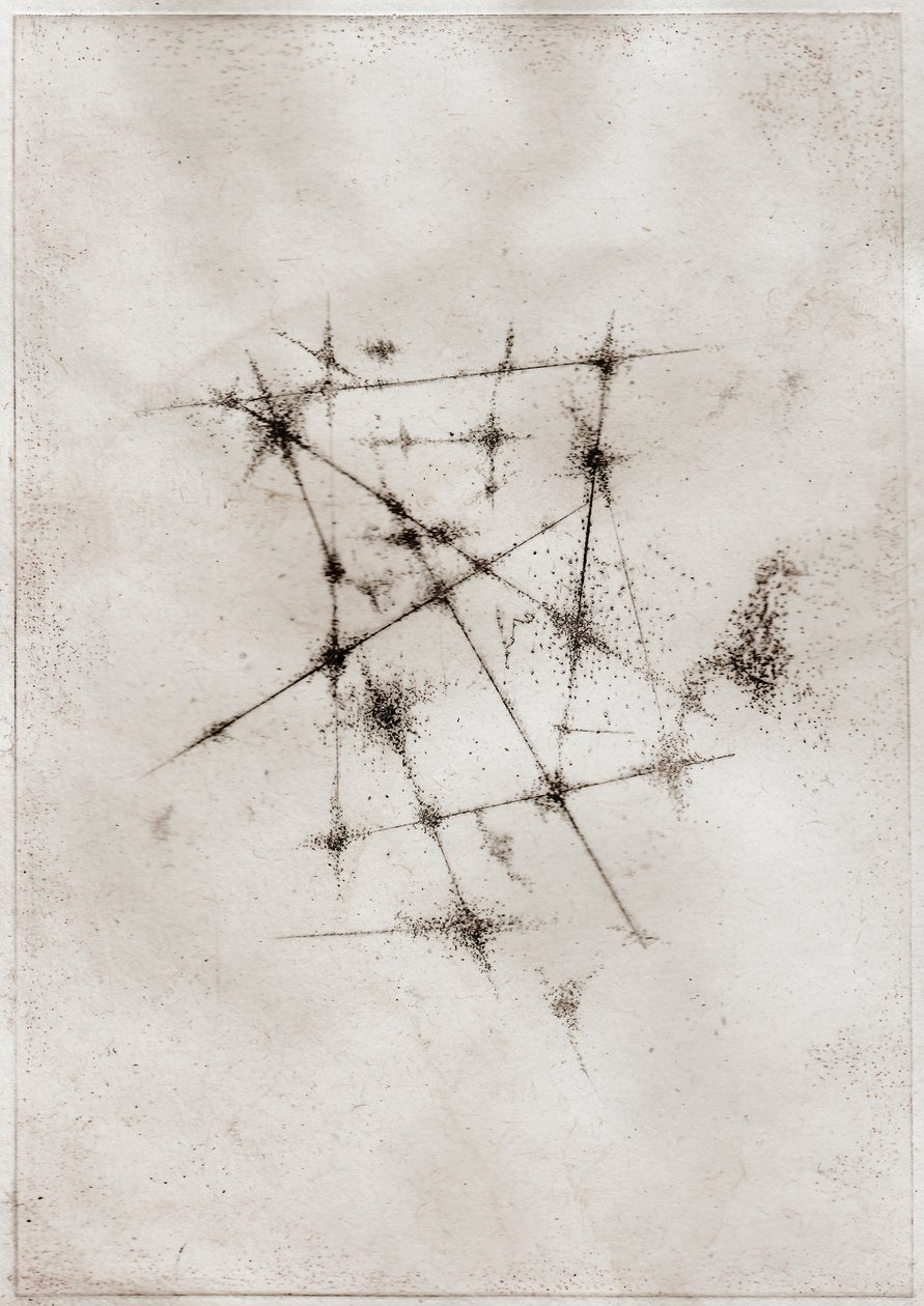 Nebula, 2018 (torrnål på papper) av Bella Larsson