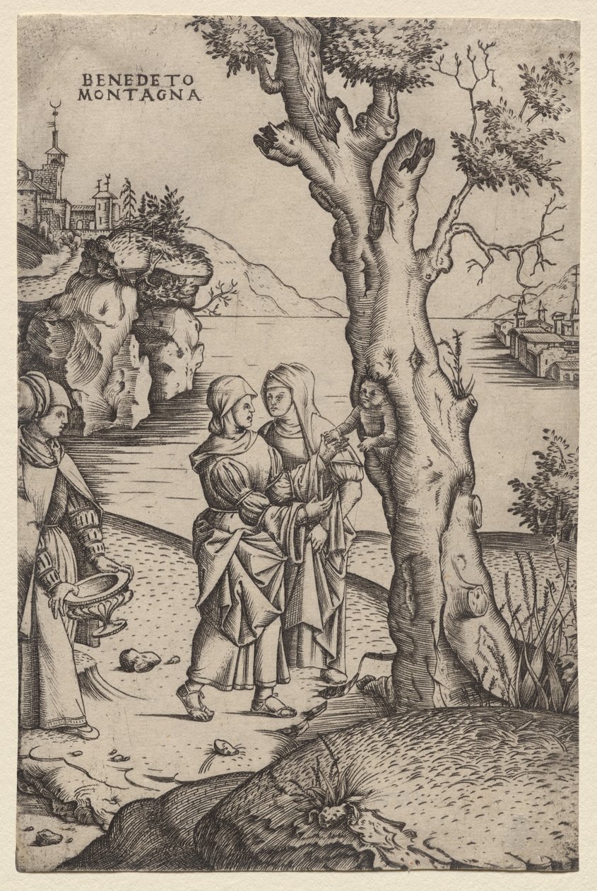 Birth of Adonis (från serien: The Metamorphoses) av Benedetto Montagna