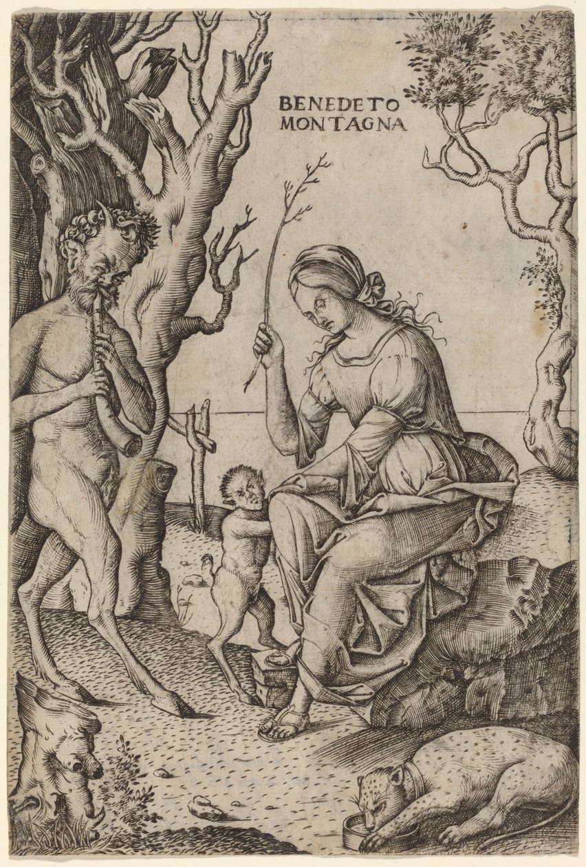 Satyr familj av Benedetto Montagna