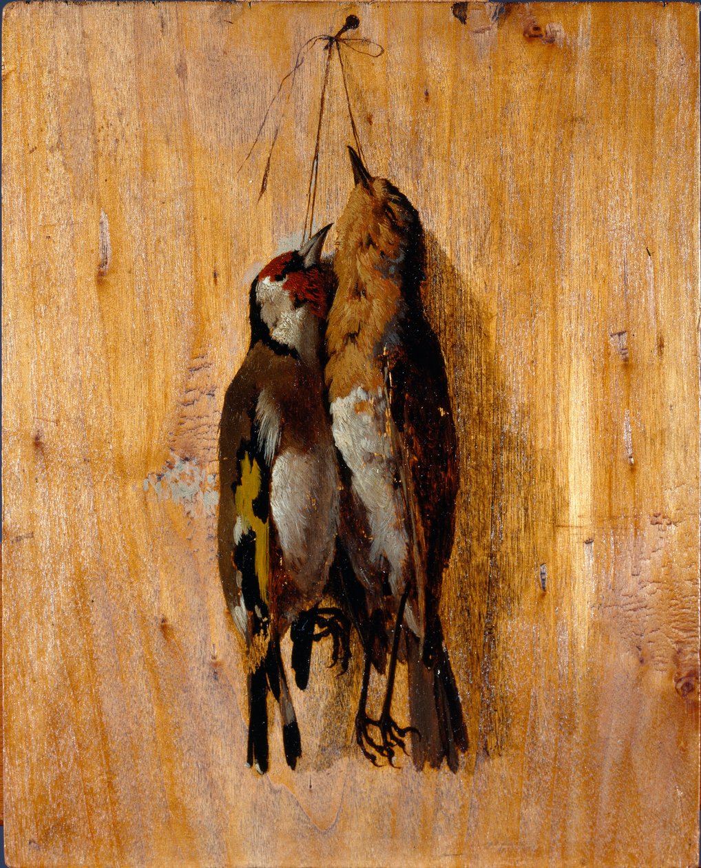 Studie av efter naturen Två döda fågelnålar på väggen. Målning av Benedetto Musso (1835-1883) 1864 cirka sön. 20,5x16,5 cm gener, Galleria d