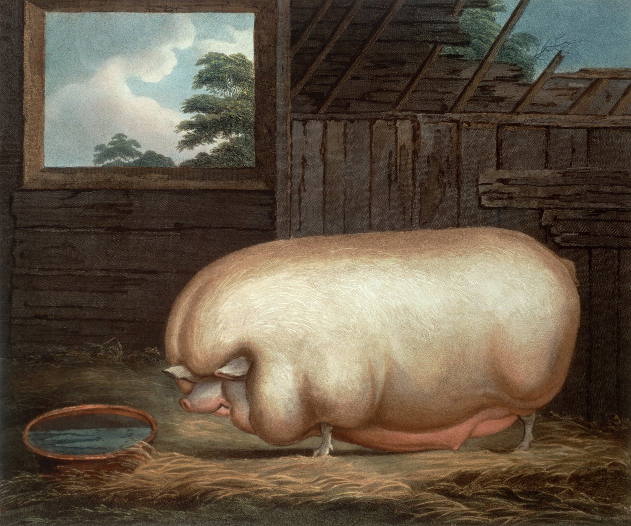 Detta märkliga djur..., graverat av John Whessel (ca 1760-1823), 1808 av Benjamin Gale