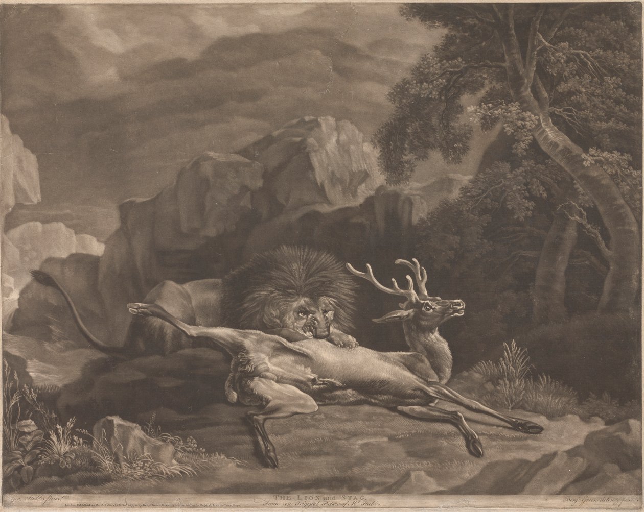 Lejonet och Stag av Benjamin Green