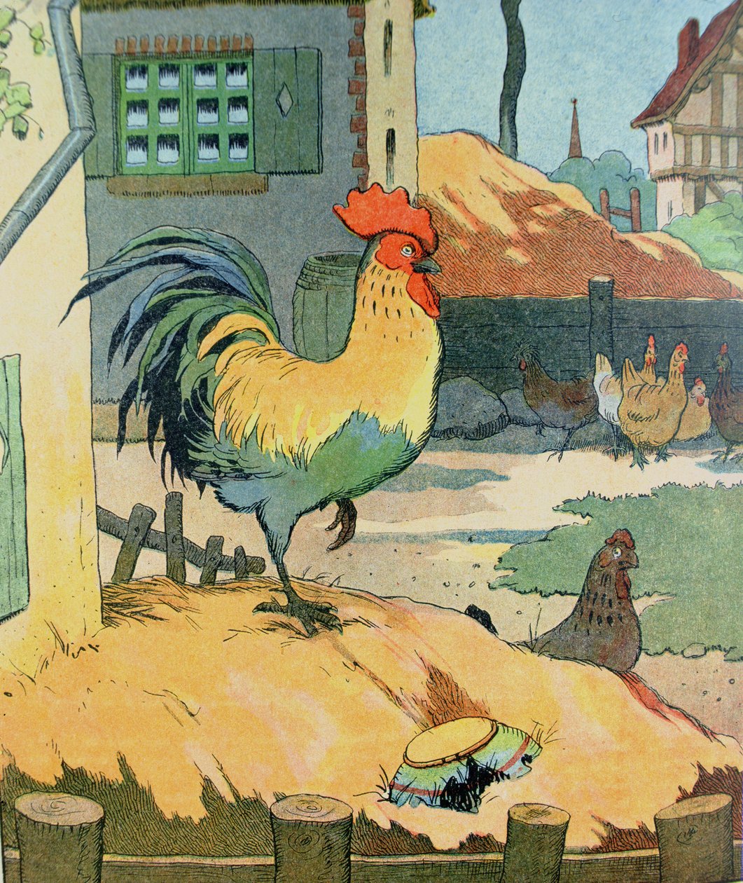 Hanen, illustration från 