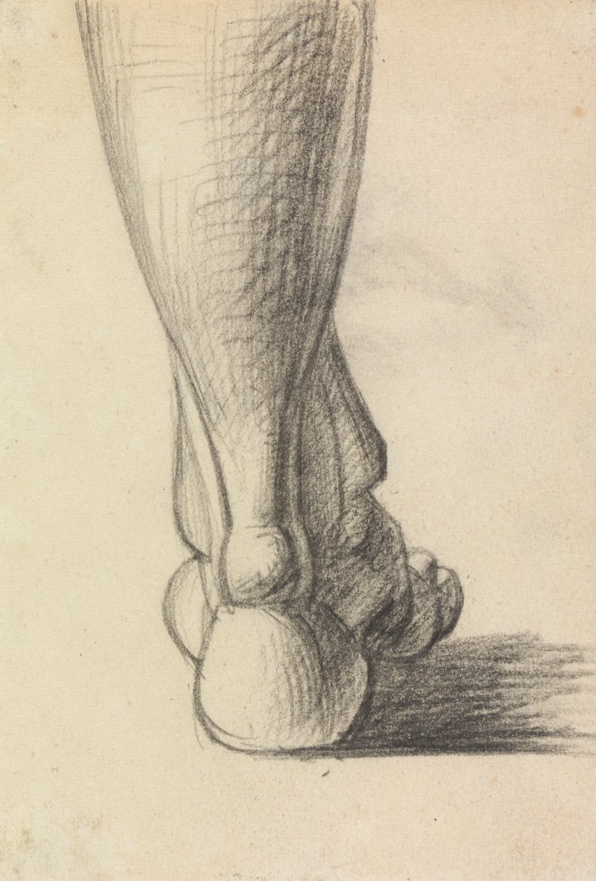 Anatomisk studie av hälen på en fot av Benjamin Robert Haydon