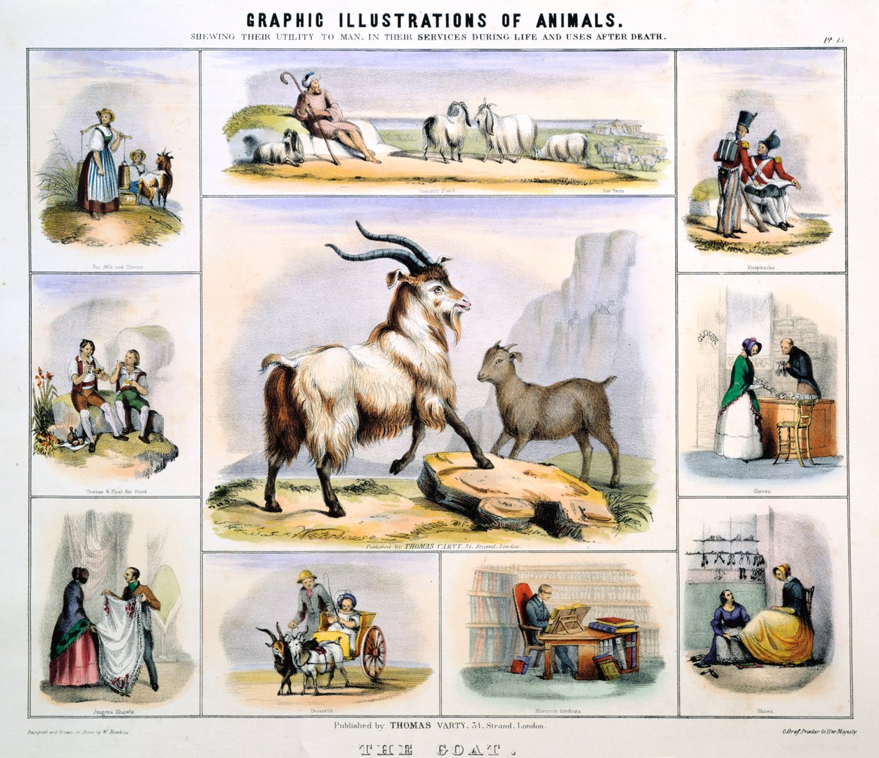 Geten, c1850 av Benjamin Waterhouse Hawkins
