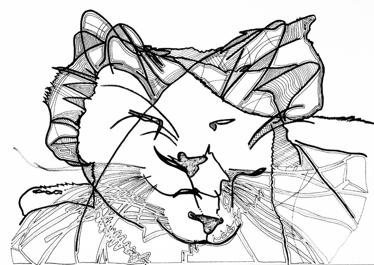 Dubbelkatt, 2019 (bläck på papper) av Benoit Erwann Boucherot