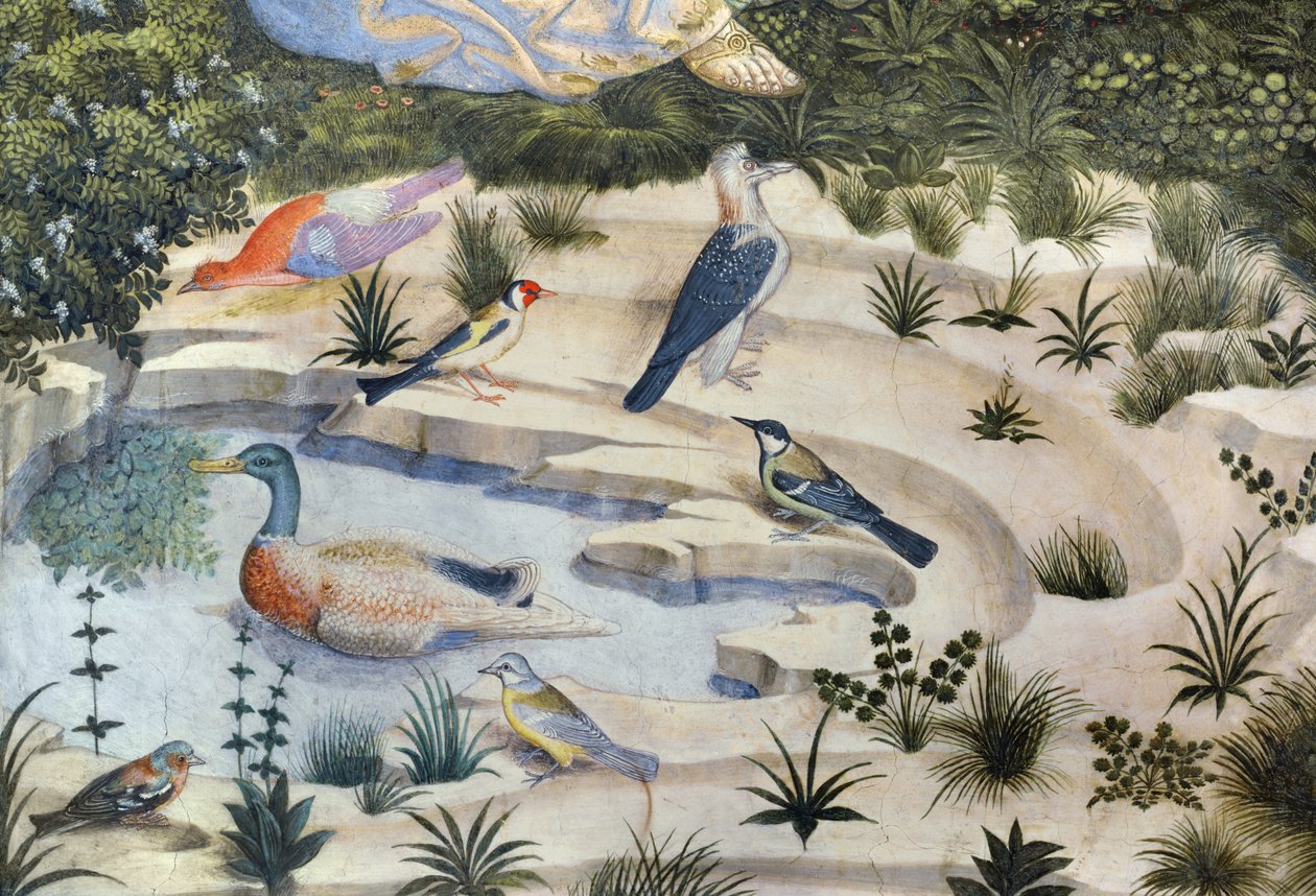 Fåglar runt en damm, detalj från the Journey of the Magi-cykeln i kapellet, ca 1460 freskdetalj av 70610 av Benozzo di Lese di Sandro Gozzoli