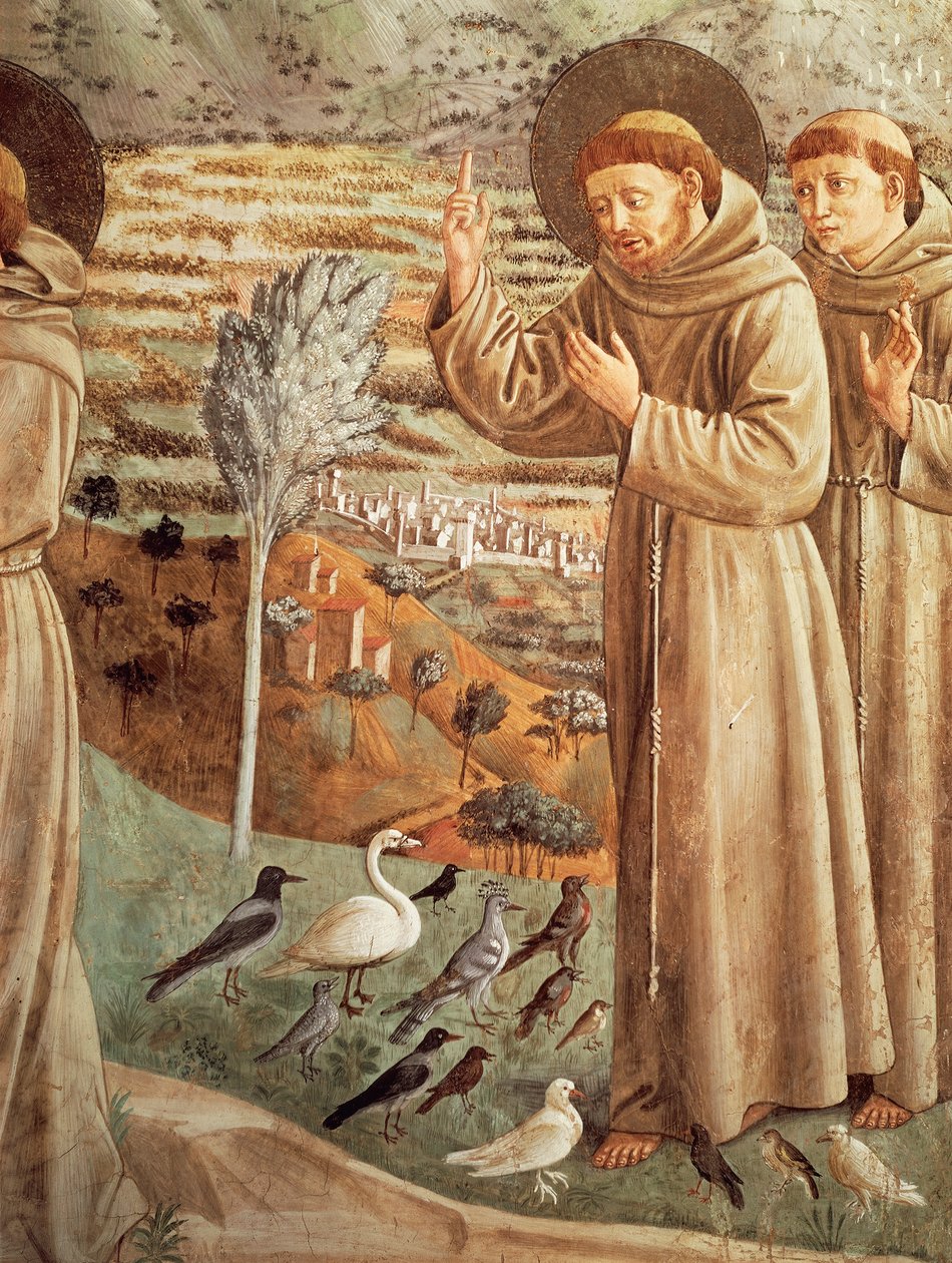 Berättelser från St Franciskus liv, predika för fåglar (1452), Freskercykel av Benozzo Gozzoli (1421-1497), apsidaltribun, St Franciskuskyrkan, Montefalco, Umbrien, Italien av Benozzo di Lese di Sandro Gozzoli