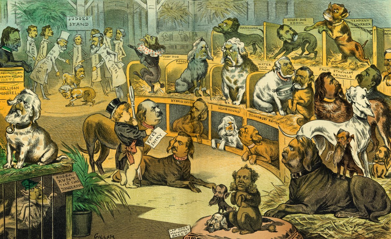 Vår nationella hundutställning, 1883 av Bernard Gillam