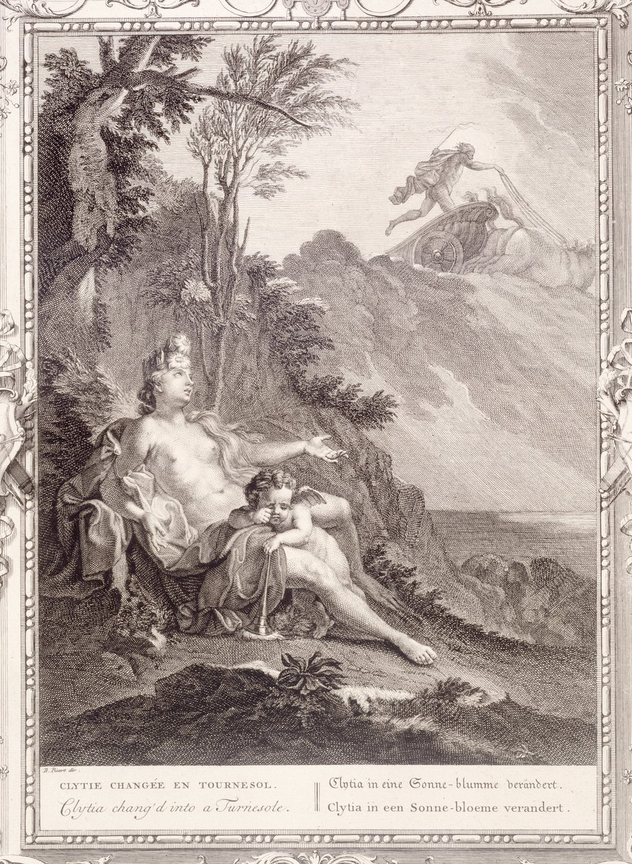 Clytia förvandlades till en vändsula, 1731 av Bernard Picart