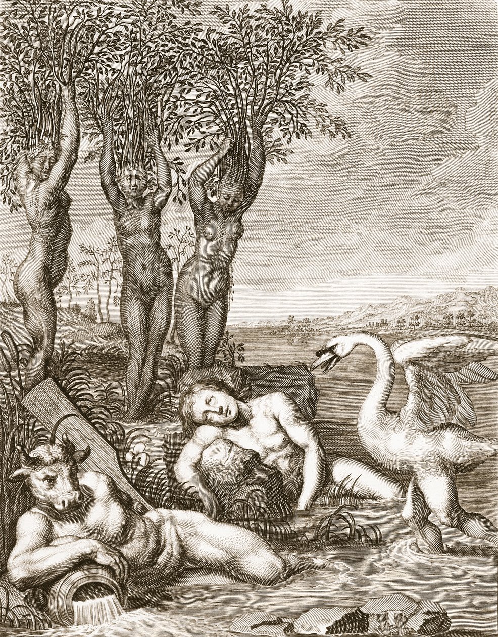 Cygnus förvandlades till en svan och Phaetons systrar till poplar, 1731 av Bernard Picart